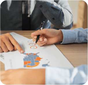 Immigration Strategy Development